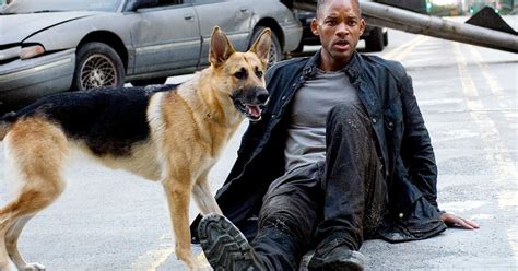 I Am Legend Dog