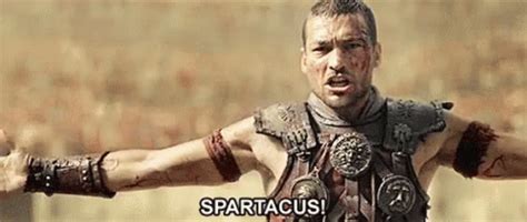 I am spartacus gif