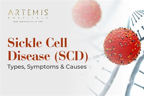 I Cell Disease