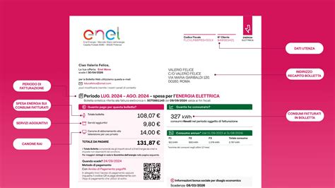 I Cinquant'anni Di Enel