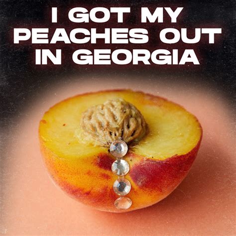 i got my peaches out in georgia 뜻