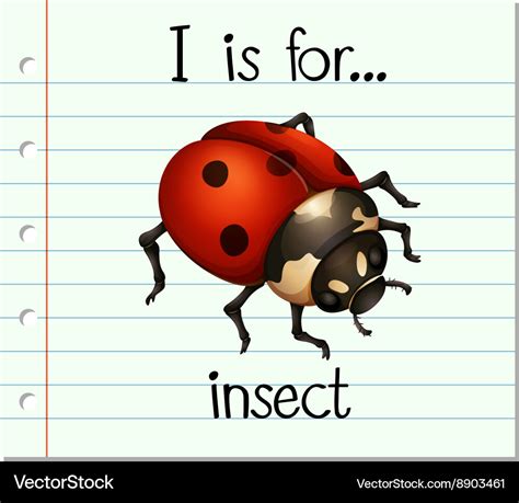 I Is For Insect Let X27 S Learn I Is For Insect - I Is For Insect