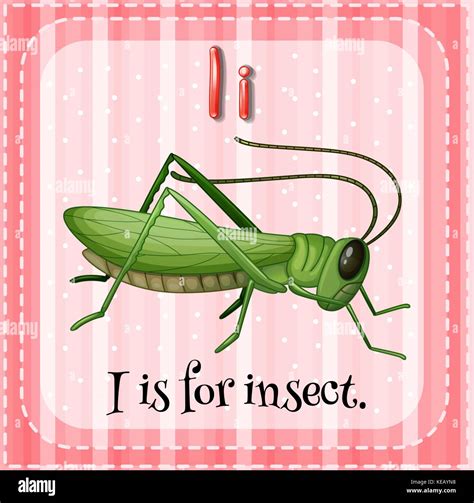 I Is For Insect Messylittlemonster Gumroad Com I Is For Insect - I Is For Insect