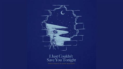 i just couldnt save you tonight