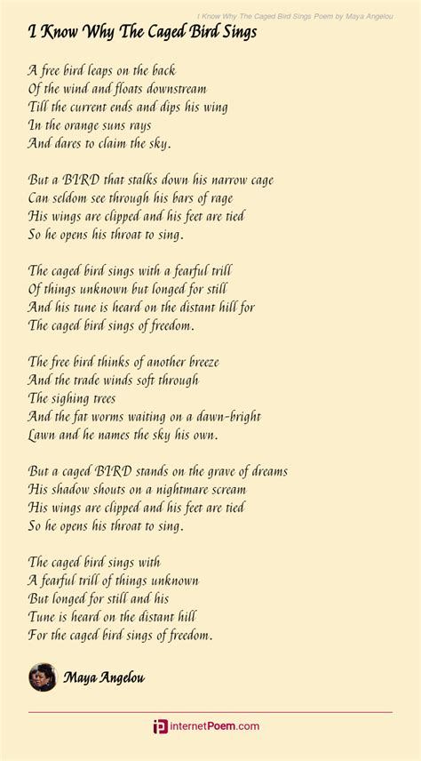 I Know Why The Caged Bird Sings Poem Summary