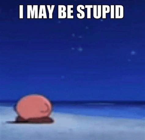I May Be Stupid