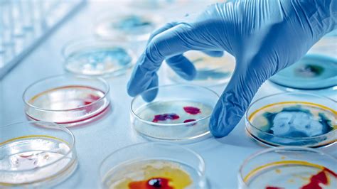 I Microbiologist A Discovery Based Undergraduate Research Course In Microbial Ecology And Molecular Evolution 1st First Edition By Sanders Lorenz Erin Miller Jeffrey H 201