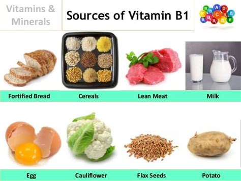 i vad finns vitamin b1
