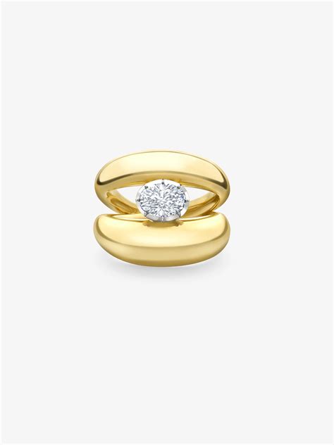 I Will Take The Ring To Mordor Nyt