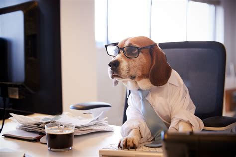I Work Like A Dog Day And Night
