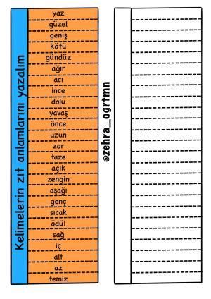 Iç Zıt Anlamı