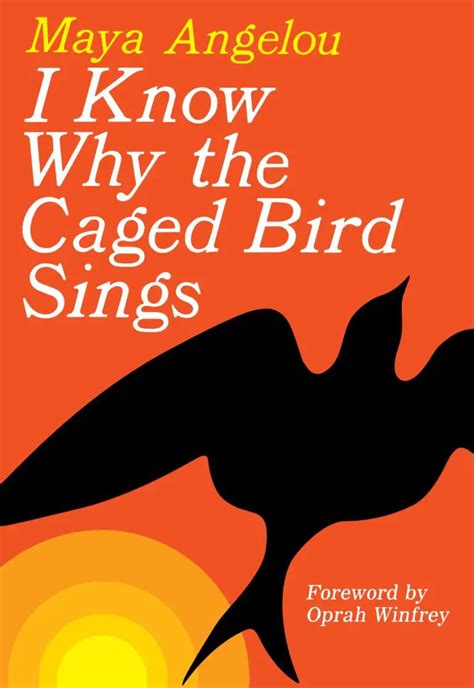 Read Online I Know Why The Caged Bird Sings Virago Modern Classics 