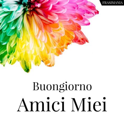 Full Download I Miei Amici Cari 