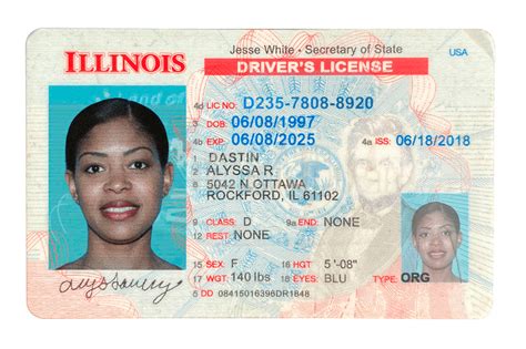 i.d.e.s. illinois