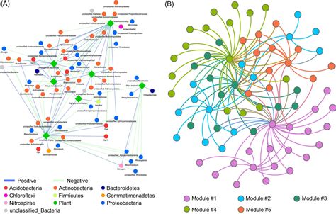 iNAP: An integrated network analysis pipeline for microbiome studi…