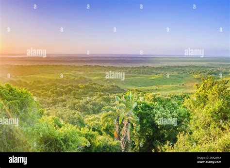 iSimangaliso Wetland Park - Gallery - UNESCO World Heritage …