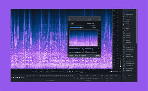 iZotope RX 9 Advanced Audio Editor Crack 2023