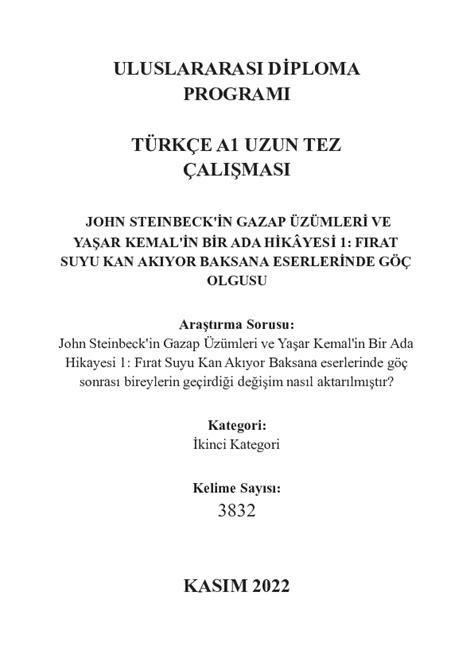 Full Download Ib Papers Turkish Literature 