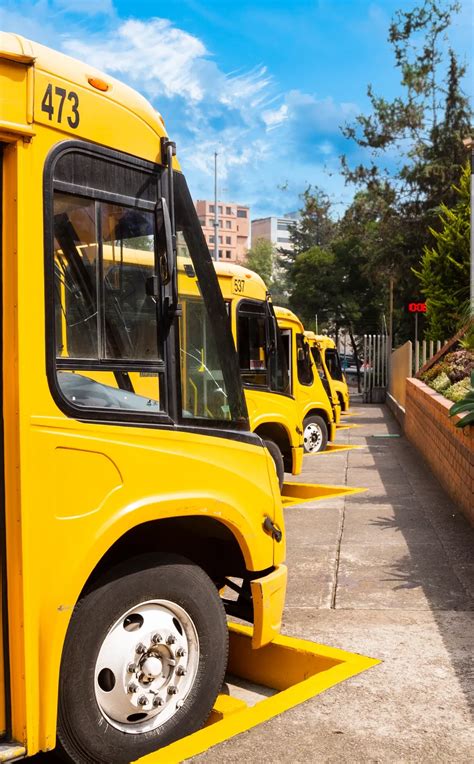 Iberobus En Linea