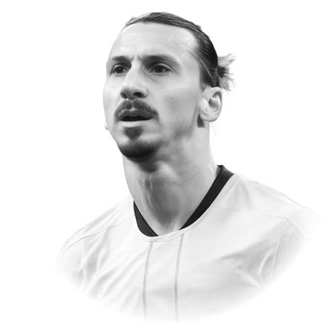 ibrahimovic biografie
