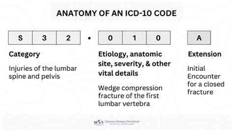 Icd 10 Code Breaking Understanding Icd 10 A Last