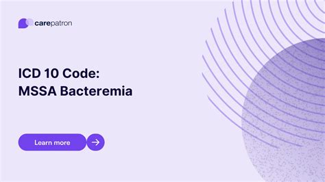 Icd 10 Code For Bacteremia