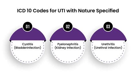 Icd 10 Code For Uti