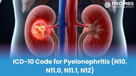 Icd 10 Pyelonephritis