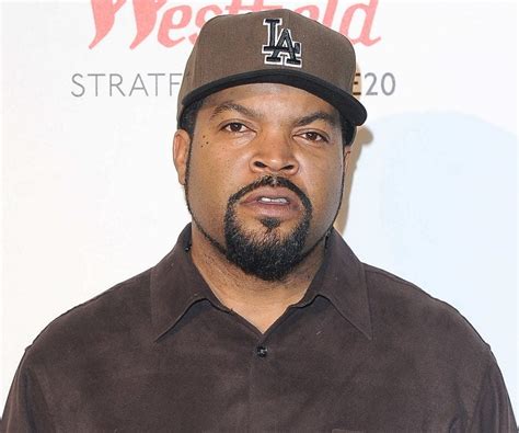 ice cube life biography sample