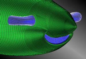 Icem Cfd Mesh Softwer