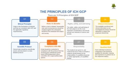 Ich Gcp Guidelines