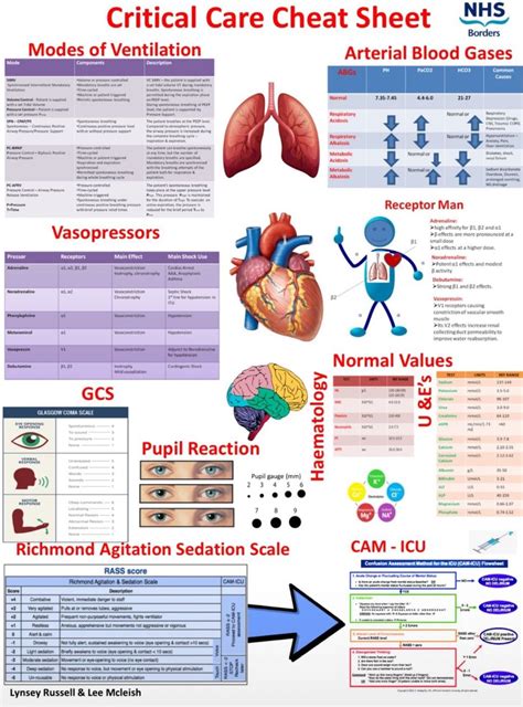 Icu Cheat Sheet