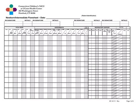 Icu Flow Sheet