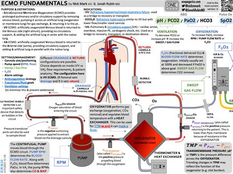Icu One Pager