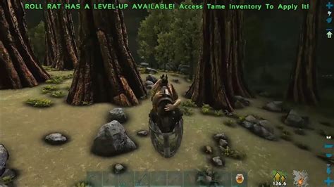 Id Madera Ark