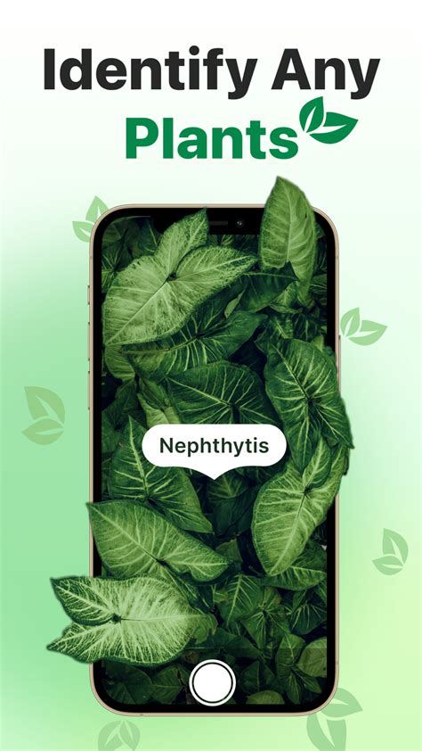 Instagram post by Torrey Koelpin #1