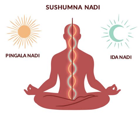 Ida Pingala Sushumna