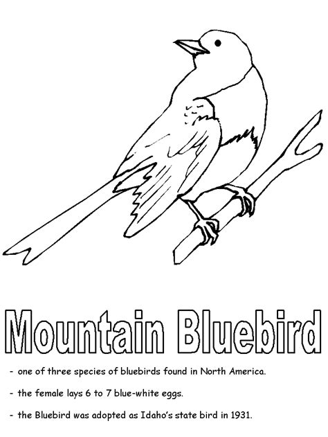 Idaho State Bird Coloring Page Divyajanan Alaska State Bird Coloring Page - Alaska State Bird Coloring Page