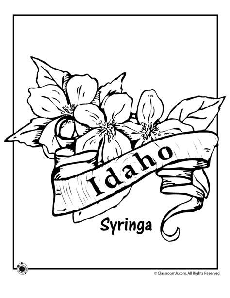 Idaho State Symbols Coloring Page Idaho State Flag Coloring Page - Idaho State Flag Coloring Page
