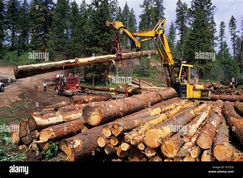 idaho timber