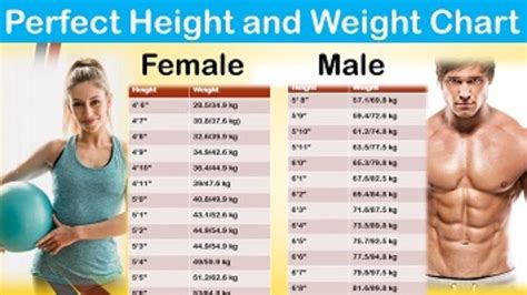 ideal weight for a woman 511 tall in stone