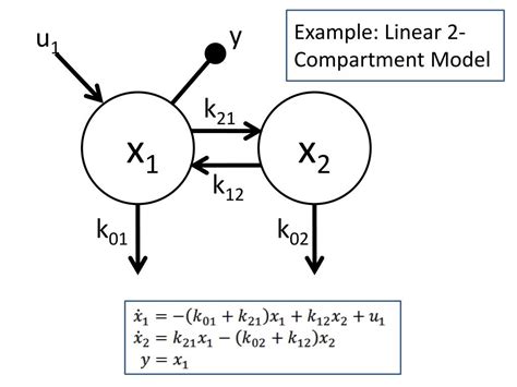 Full Download Identifiability Of Linear Compartment Models The Singular 