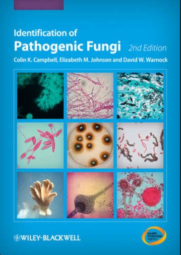 Download Identification Of Pathogenic Fungi 2Nd Second Edition By Campbell Colin K Johnson Elizabeth M Published By Wiley Blackwell 2013 