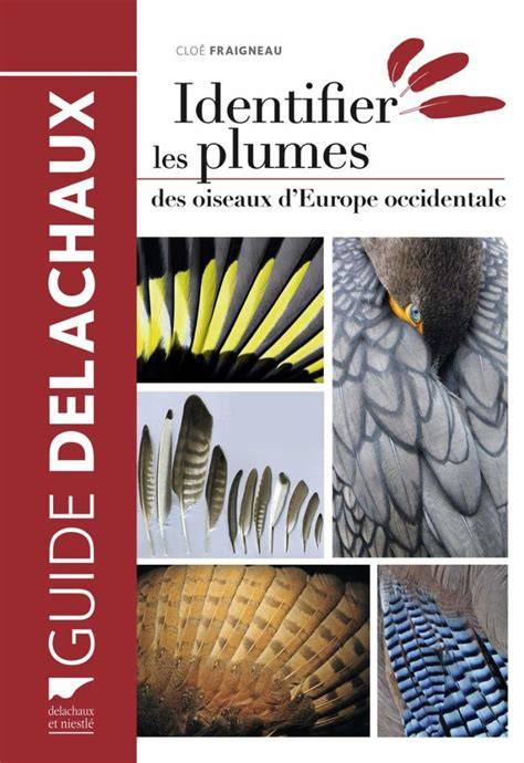 identifier les plumes des oiseaux d europe occide