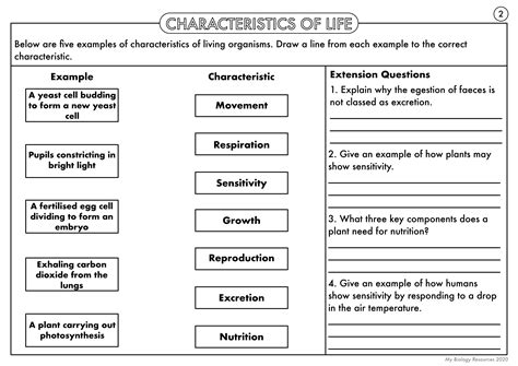 Identify The Characteristics Of Life Pdf Doc Net Characteristics Of Life Worksheet Answers - Characteristics Of Life Worksheet Answers
