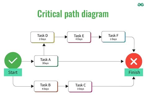 Identify The Correct Path Of Urine In The Human Body