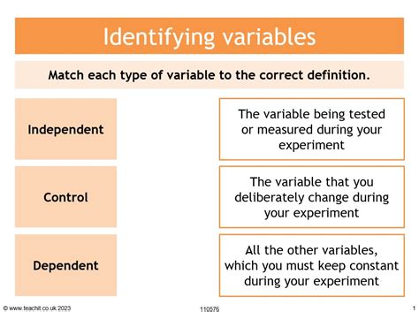 identifying the controls and variables spongebob