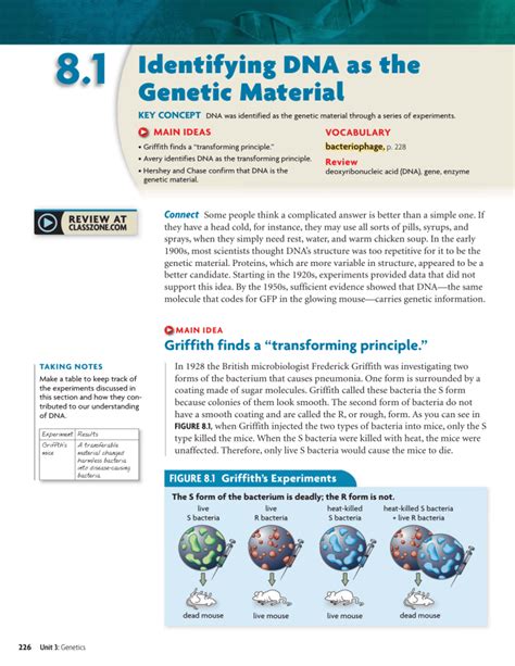 Identifying The Genetic Material Answer Key