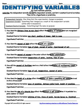 Identifying Variables Worksheet Answers Identify Variables Worksheet - Identify Variables Worksheet