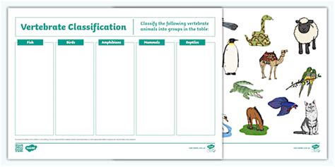 Identifying Vertebrates Using Classification Keys Answer Key
